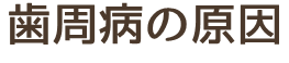 歯周病の原因